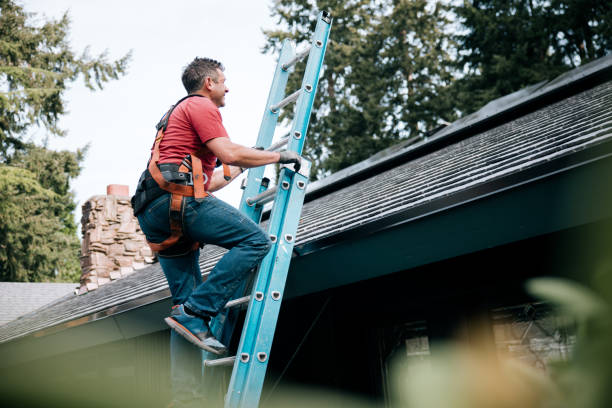 Best Chimney Flashing Repair  in Somers, MT